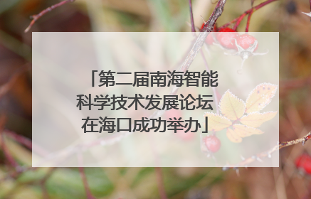 第二届南海智能科学技术发展论坛在海口成功举办