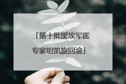 第十批援埃军医专家组凯旋回渝
