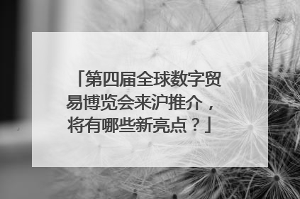 第四届全球数字贸易博览会来沪推介，将有哪些新亮点？