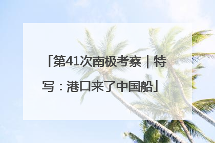 第41次南极考察｜特写：港口来了中国船