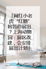 网红小老虎“红糖”将暂停展出？上海动物园：展区改建，会安排展出计划