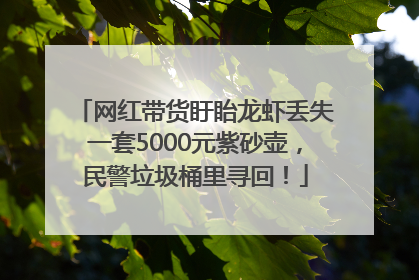 网红带货盱眙龙虾丢失一套5000元紫砂壶，民警垃圾桶里寻回！