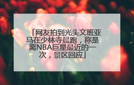 网友拍到光头文班亚马在少林寺晨跑，称是离NBA巨星最近的一次，景区回应
