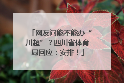 网友问能不能办“川超”？四川省体育局回应：安排！