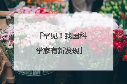 罕见！我国科学家有新发现