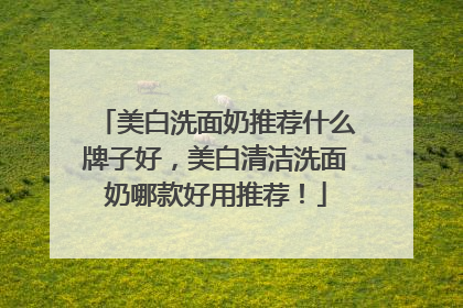 美白洗面奶推荐什么牌子好，美白清洁洗面奶哪款好用推荐！