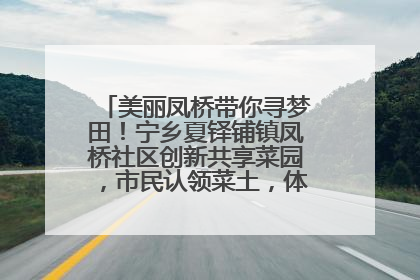 美丽凤桥带你寻梦田！宁乡夏铎铺镇凤桥社区创新共享菜园，市民认领菜土，体验耕种收获乐趣