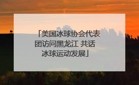 美国冰球协会代表团访问黑龙江 共话冰球运动发展