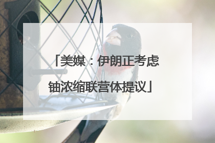 美媒：伊朗正考虑铀浓缩联营体提议