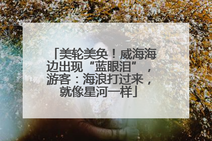 美轮美奂！威海海边出现“蓝眼泪”，游客：海浪打过来，就像星河一样