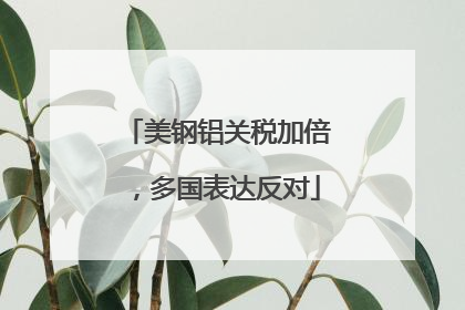 美钢铝关税加倍，多国表达反对