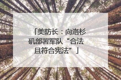 美防长：向洛杉矶部署军队“合法且符合宪法”