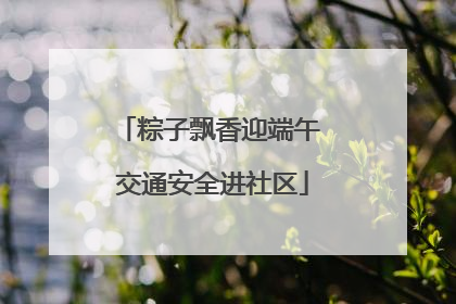 粽子飘香迎端午 交通安全进社区