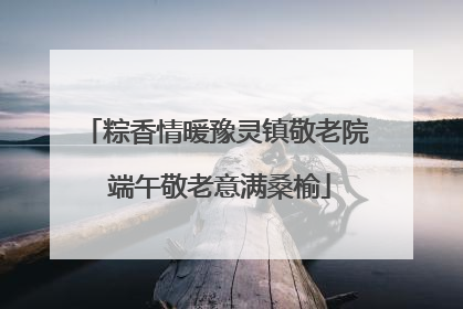 粽香情暖豫灵镇敬老院 端午敬老意满桑榆