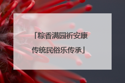 粽香满园祈安康 传统民俗乐传承