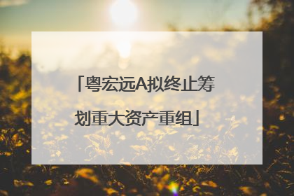 粤宏远A拟终止筹划重大资产重组