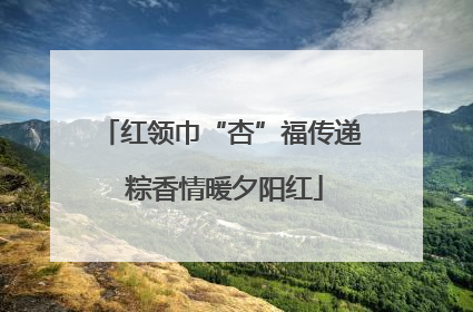 红领巾“杏”福传递 粽香情暖夕阳红