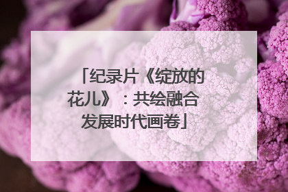 纪录片《绽放的花儿》：共绘融合发展时代画卷