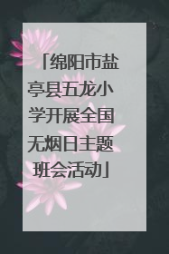 绵阳市盐亭县五龙小学开展全国无烟日主题班会活动