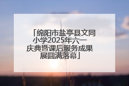 绵阳市盐亭县文同小学2025年六一庆典暨课后服务成果展圆满落幕
