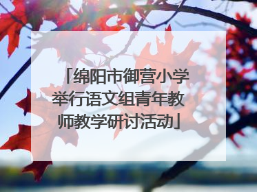 绵阳市御营小学举行语文组青年教师教学研讨活动