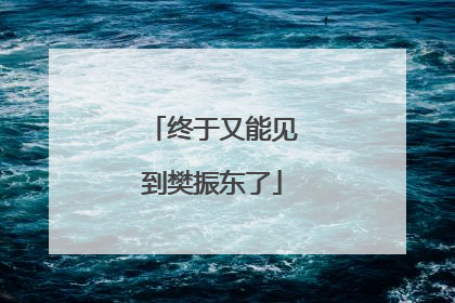 终于又能见到樊振东了