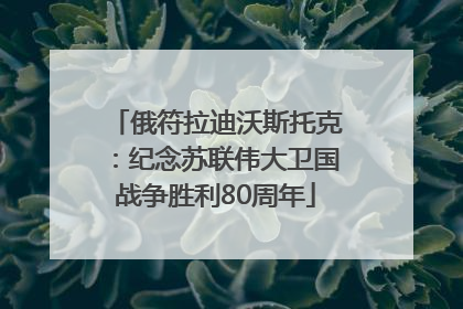 俄符拉迪沃斯托克：纪念苏联伟大卫国战争胜利80周年
