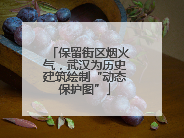 保留街区烟火气，武汉为历史建筑绘制“动态保护图”