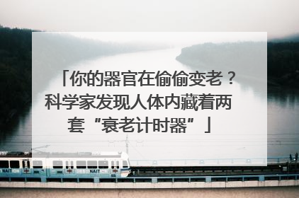 你的器官在偷偷变老？科学家发现人体内藏着两套“衰老计时器”