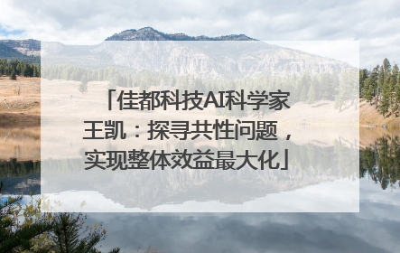 佳都科技AI科学家王凯：探寻共性问题，实现整体效益最大化
