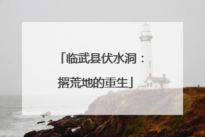 临武县伏水洞：撂荒地的重生