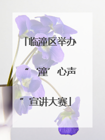 临潼区举办“‘潼’心声”宣讲大赛
