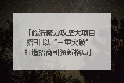 临沂聚力攻坚大项目招引 以“三重突破”打造招商引资新格局