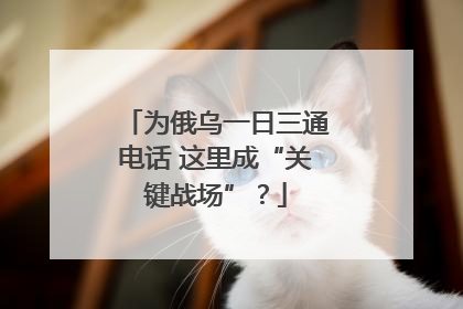 为俄乌一日三通电话 这里成“关键战场”？