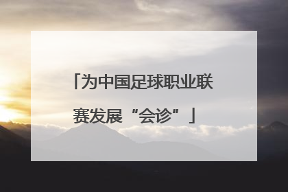 为中国足球职业联赛发展“会诊”