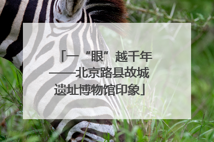 一“眼”越千年——北京路县故城遗址博物馆印象