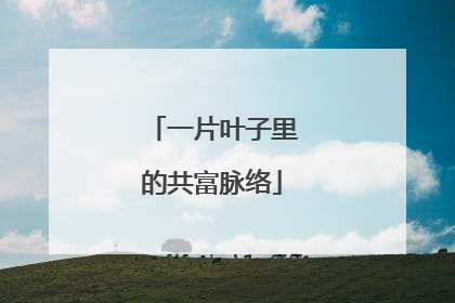 一片叶子里的共富脉络