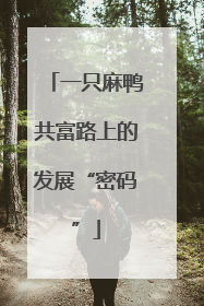 一只麻鸭共富路上的发展“密码”