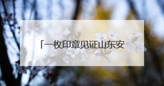 一枚印章见证山东安陵88年乡村蝶变