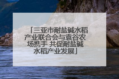 三亚市耐盐碱水稻产业联合会与袁谷农场携手 共促耐盐碱水稻产业发展