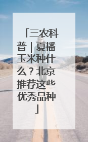 三农科普｜夏播玉米种什么？北京推荐这些优秀品种