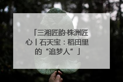 三湘匠韵·株洲匠心丨石天宝：稻田里的“追梦人”