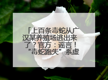 上百条毒蛇从广汉某养殖场逃出来了？官方：谣言！“毒蛇跑失”系虚构丨云辟谣