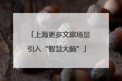 上海更多文旅场景引入“智慧大脑”