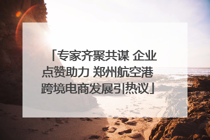 专家齐聚共谋 企业点赞助力 郑州航空港跨境电商发展引热议