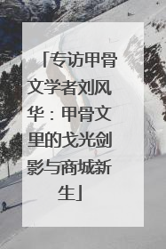 专访甲骨文学者刘风华：甲骨文里的戈光剑影与商城新生