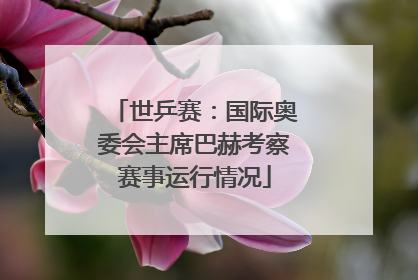 世乒赛：国际奥委会主席巴赫考察赛事运行情况