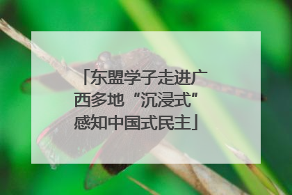 东盟学子走进广西多地“沉浸式”感知中国式民主