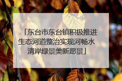东台市东台镇积极推进生态河道整治实现河畅水清岸绿景美新愿景