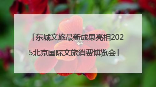 东城文旅最新成果亮相2025北京国际文旅消费博览会